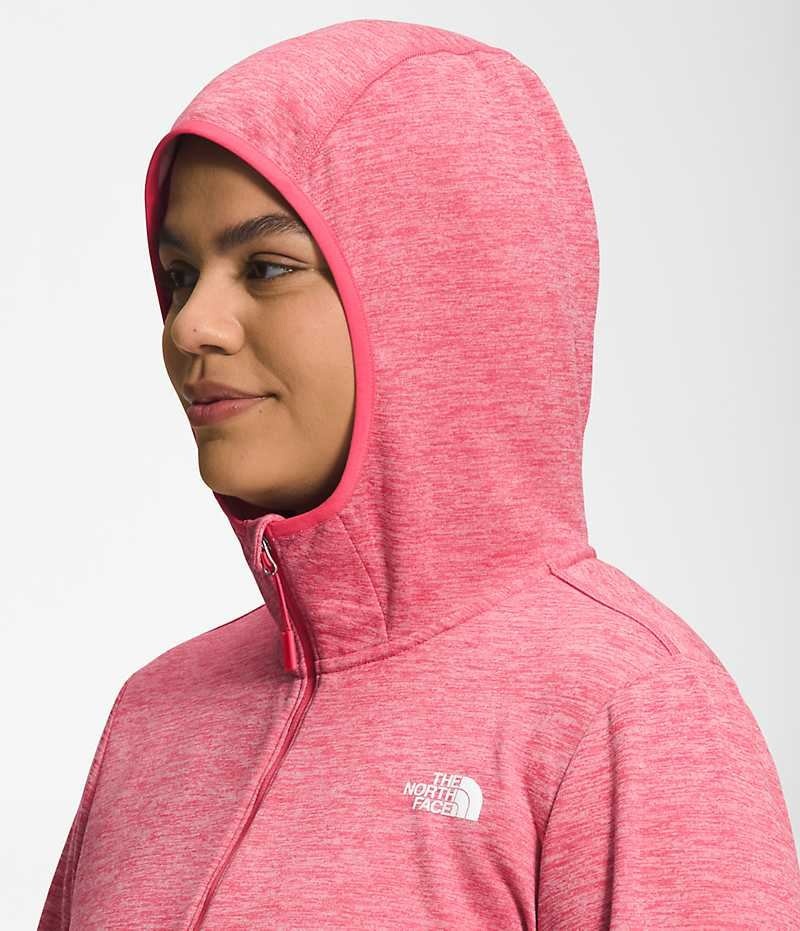 Pink Women's The North Face Plus Canyonlands Hoodie Fleece Jacket | DUBLIN VIXL