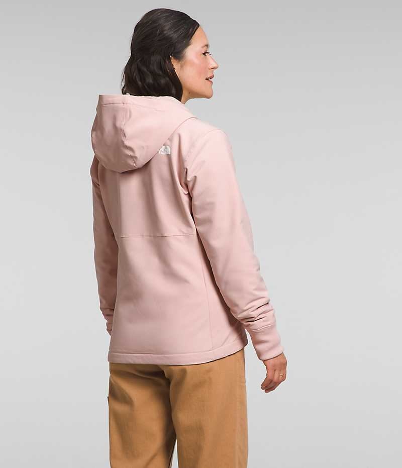 Pink Women's The North Face Shelbe Raschel Hoodie Softshell Jacket | DUBLIN WGSD