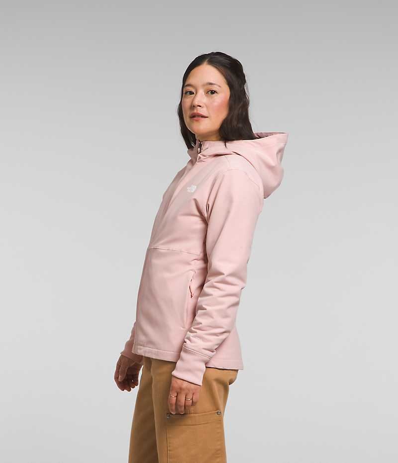 Pink Women's The North Face Shelbe Raschel Hoodie Softshell Jacket | DUBLIN WGSD