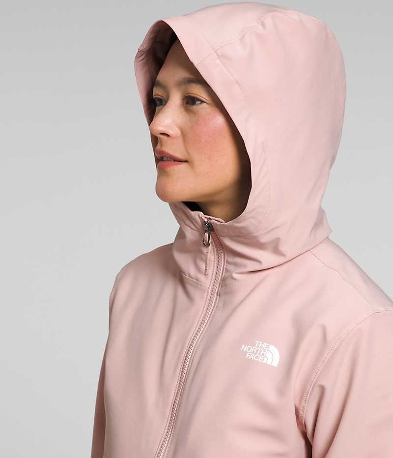 Pink Women's The North Face Shelbe Raschel Hoodie Softshell Jacket | DUBLIN WGSD