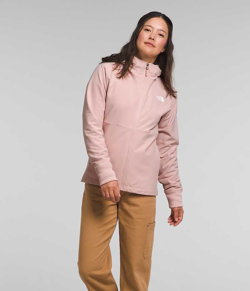 Pink Women\'s The North Face Shelbe Raschel Hoodie Softshell Jacket | DUBLIN WGSD