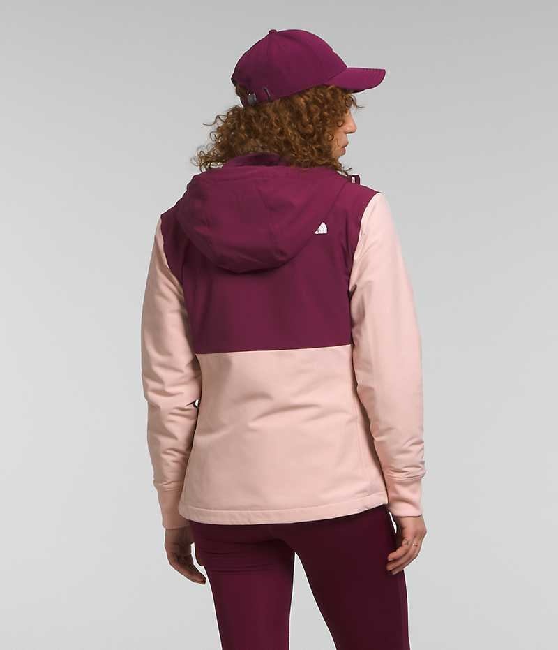 Pink Women's The North Face Shelbe Raschel Hoodie Softshell Jacket | DUBLIN NGWI