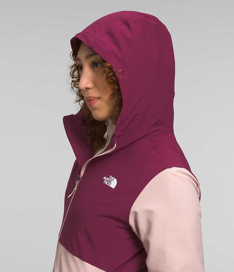 Pink Women's The North Face Shelbe Raschel Hoodie Softshell Jacket | DUBLIN NGWI