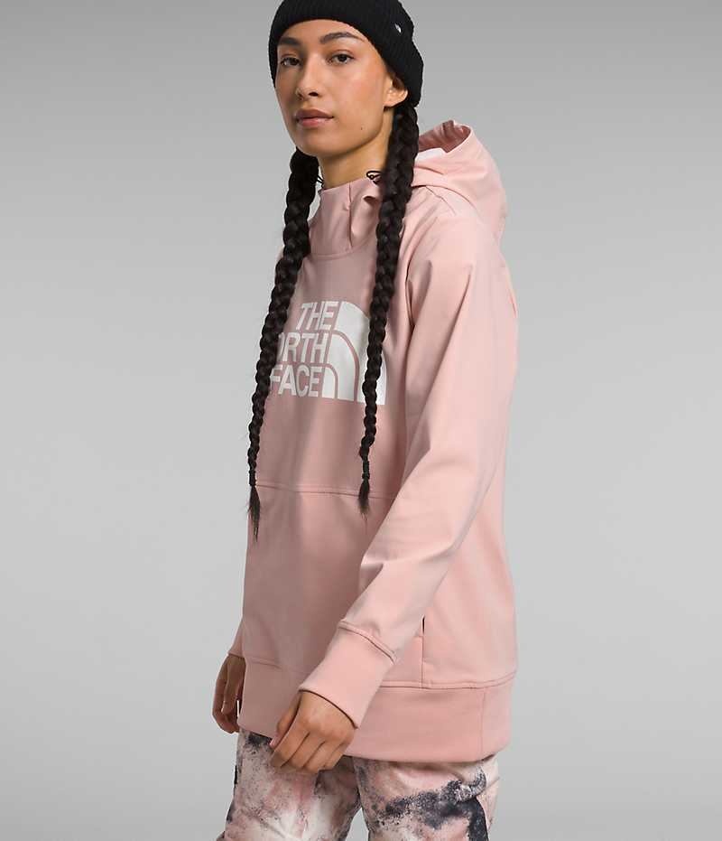 Pink Women's The North Face Tekno Pullover Hoodie | DUBLIN DHZE