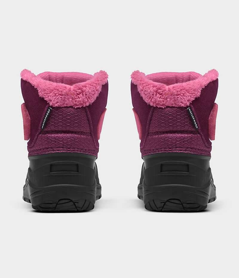 Pink / Black Boys' The North Face Alpenglow II Winter Boots | IRELAND HUWO