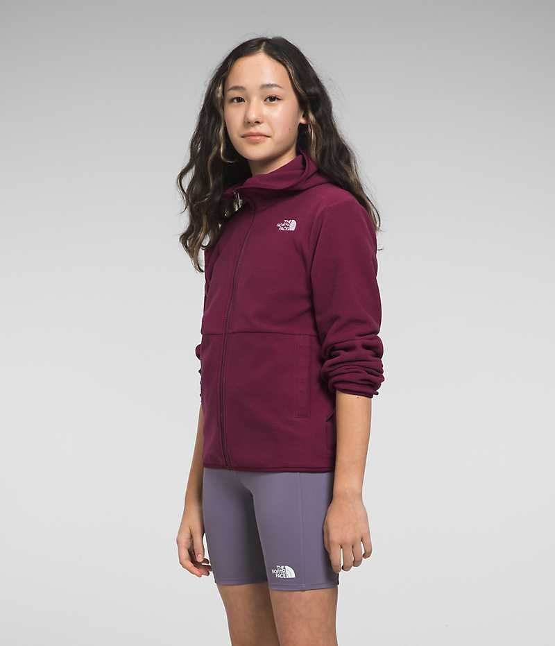 Red Girls'' The North Face Glacier Full-Zip Hooded Fleece Jacket | IRELAND BUVM