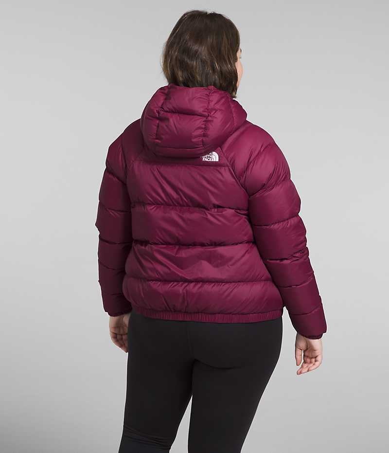 Red Women's The North Face Plus Hydrenalite™ Hoodie Puffer Jacket | DUBLIN LSPQ