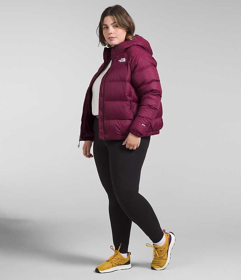 Red Women's The North Face Plus Hydrenalite™ Hoodie Puffer Jacket | DUBLIN LSPQ