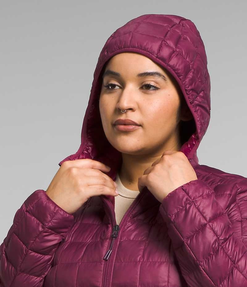 Red Women's The North Face Plus ThermoBall™ Eco Coat | DUBLIN IDUL