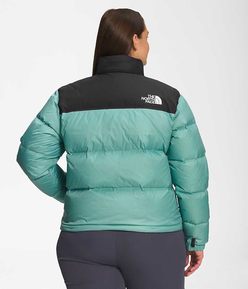 Turquoise Women's The North Face Plus 1996 Retro Nuptse Puffer Jacket | DUBLIN DCFQ