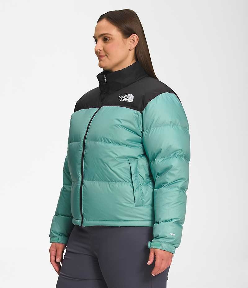 Turquoise Women's The North Face Plus 1996 Retro Nuptse Puffer Jacket | DUBLIN DCFQ