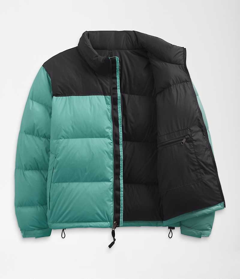 Turquoise Women's The North Face Plus 1996 Retro Nuptse Puffer Jacket | DUBLIN DCFQ