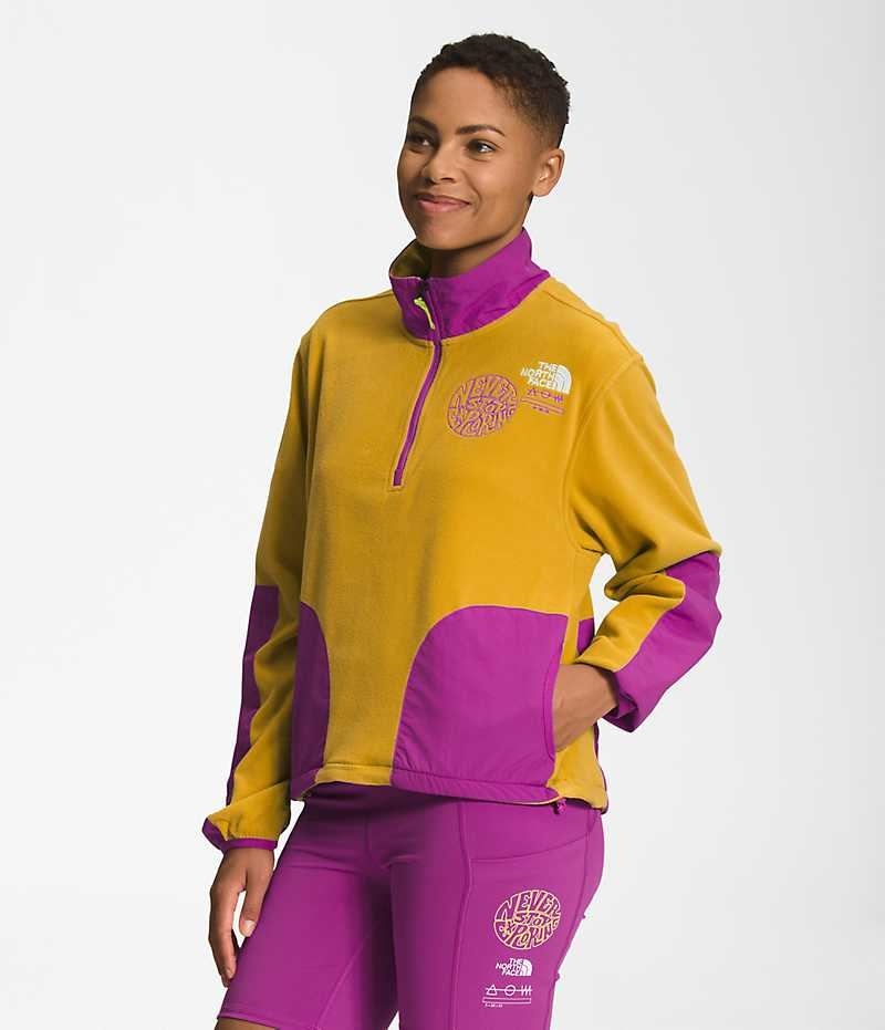 Yellow / Purple Women's The North Face Trailwear Fantasy Ridge ½-Zip Sweatshirt | IRELAND YRAQ